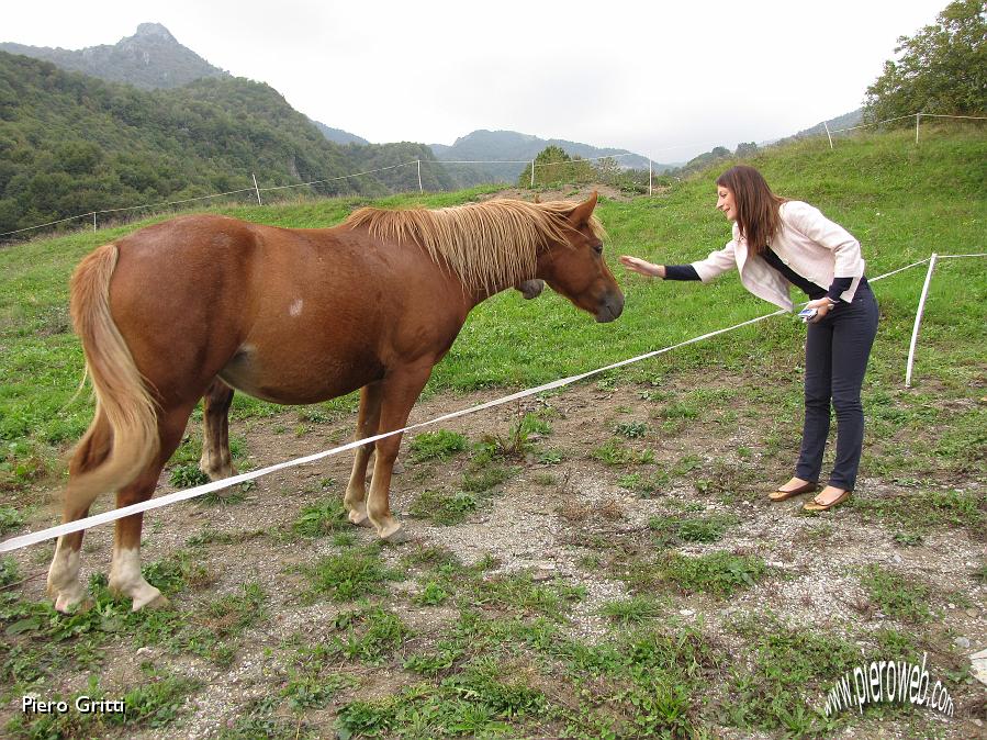 25 ...accarezzare un cavallo.jpg